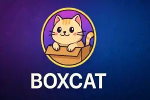BOXCAT Coin Nedir?